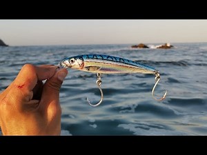 Pesca con Rapala hacia las Rocas