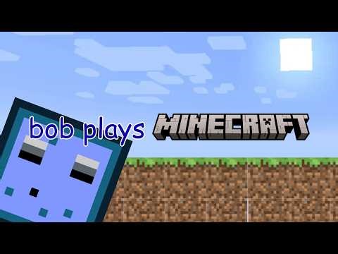 bob plays minecraft