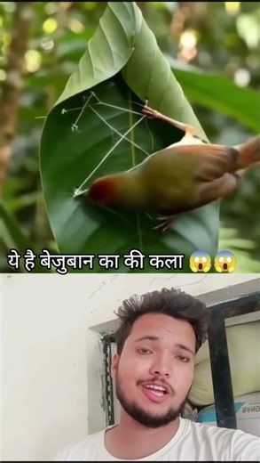 This is the engineering of a voiceless creature 😱😱😱 #reaction #shorts #shortvideo #short #motivation