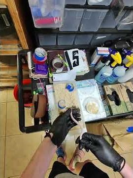 Baby Corn Snake Setup! #cornsnake #babysnake #snakebreeder #snakes #snake #captive #cbb