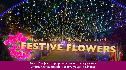 The glasshouse has transformed into an enchanted winter forest for Phipps Holiday Magic! Explore whimsical winter lights, mystical creatures, festive flowers and more as you stroll through our dazzling displays. | Phipps Conservatory and Botanical Gardens