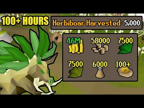 100 hours of Herbiboar | Every Drop: No Banking (#15) [OSRS]