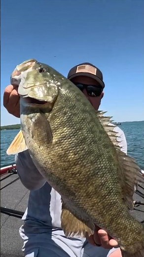 👀 GIANT SUMMERTIME SMALLMOUTH! 👀