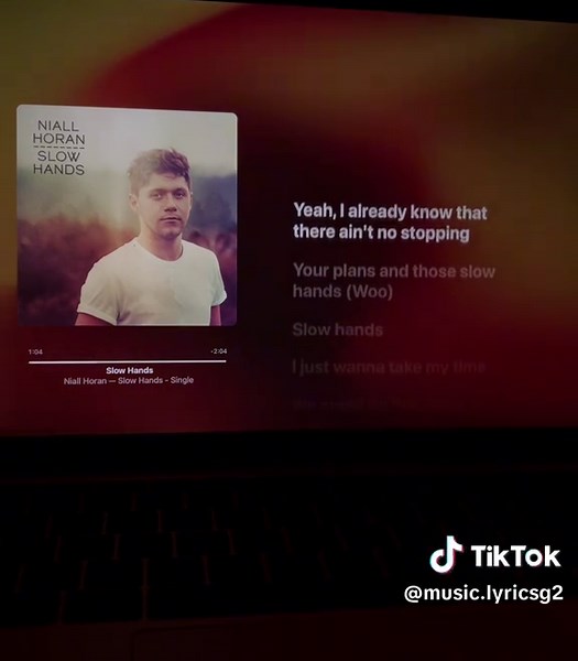 slow hands 🎶 #lyrics#music#musicrecommendations#applemusic#fypシ#fypagee#niallhoran