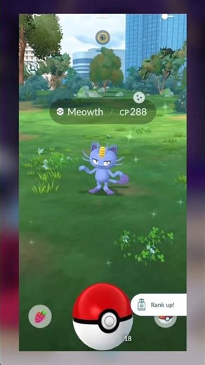 Shiny Catches - Meowth!