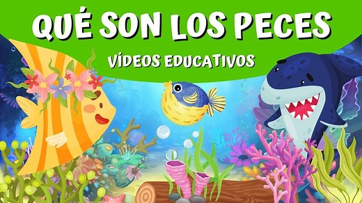 LOS PECES ® ¿Qué son? ¿dónde viven? Características y tipos
