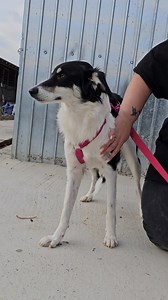 6.8K views · 558 reactions | ❤️ Halima ❤️ Sie braucht endlich...