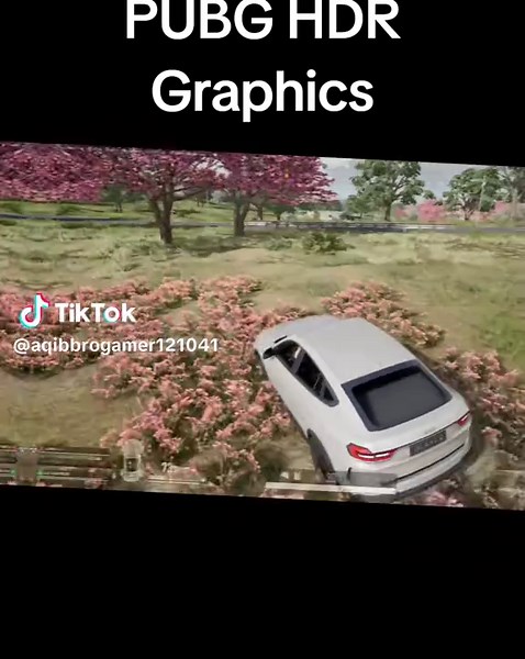 Aqib Bro Gamer บน TikTok