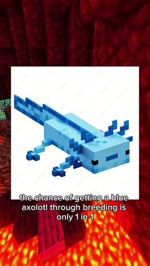 WHY ARE BLUE AXOLOTLS SO RARE?! 😱 | Minecraft Fun Fact