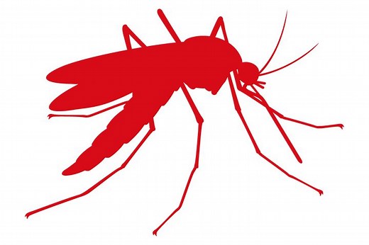 「蚊」の常識、非常識・・・ 血を吸うのは産卵前のメスの蚊だけなのだ - For your LIFE