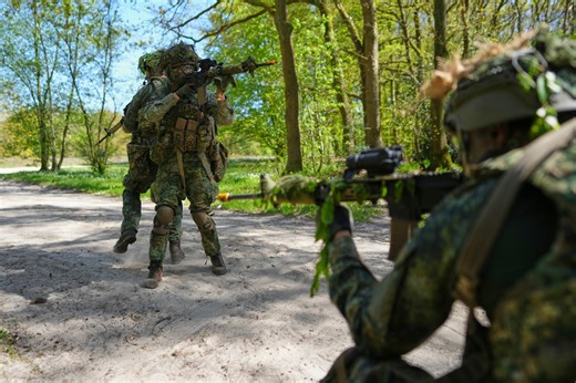 Royals boost Dutch military volunteers as Europe looks to ramp up troop numbers
