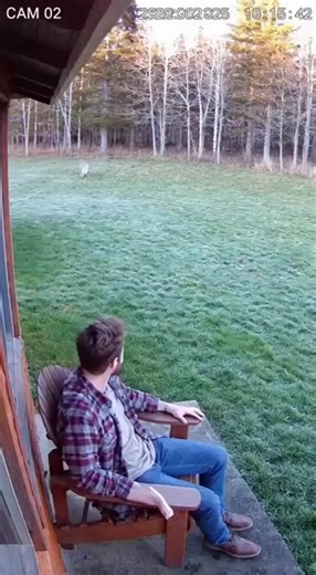 The purity derived from animals