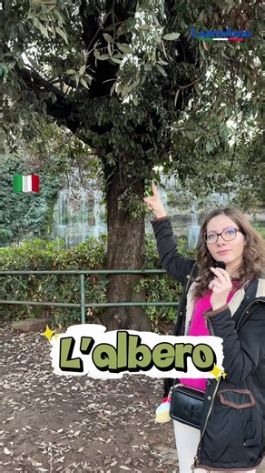 ELEMENTI NATURALI DI FLORA IN UN PARCO L'albero Il cespuglio La siepe Il sentiero Il gradino/lo scalino E quella alla fine invece come si chiama? 💧 #learnamo #imparareitaliano #learnitalian #italianteacher #italianclasses