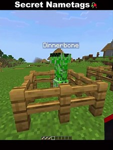 Secret names in Minecraft🥀#minecraft
