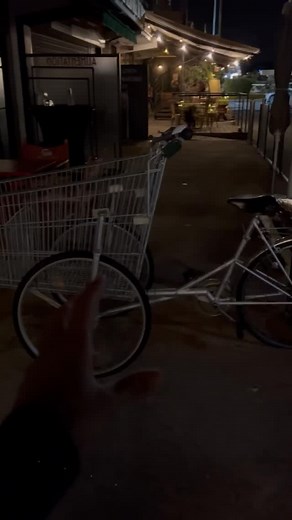 53K views · 444 reactions | Une pépite de caddie en allant voir le fabuleux spectacle de @amandinelourdeltouteattachee que je recommande à tous. Cette création est absolument incroyable ! Evidemment c’est un poil compliqué au niveau de la mécanique, mais j’ai adoré. Qu’en penses tu toi ? Merci comme toujours à @barbara_delattre pour … tout, en fait  #vélo #bicyclette #vélovintage | Vintage Queen Bike Repair | Facebook