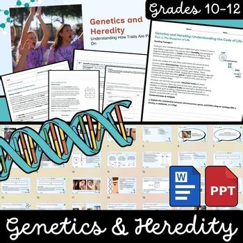 Genetics and Heredity Punnett Squares Worksheet | Genetics Heredity Curriculum