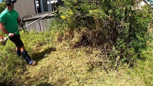 Huge yard clean up from start to finish - turns out phenomenal