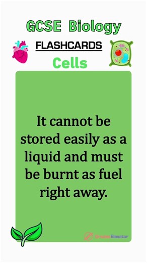 Cell biology revision flashcards GCSE #education #revision #combinedscience