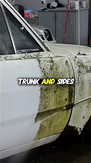 White Plymouth Valiant car cleaning and restoration