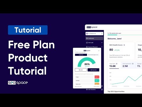 Complete SEOSpace Product Tutorial (Free Plan UPDATED)