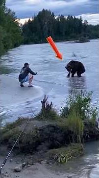 Watch These Sneaky Animals Steal Your Delicious Food #shorts
