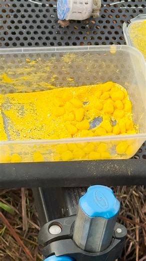 Fjuka Fishing Bait on Instagram: "💫🌽𝗠𝗔𝗞𝗘 𝗖𝗢𝗥𝗡 𝟭𝟬𝟬𝟬 𝗫 𝗠𝗢𝗥𝗘 𝗔𝗧𝗧𝗥𝗔𝗖𝗧𝗜𝗩𝗘 Test new Fish Accelerant Bait Coating Powder on the Fjuka website now (TEST NEW BAITS). Make any bait a BITE MAGNET: 🔥 INSTANT BAIT BOOST + VIVID COLOUR: for pellets, corn, meat, wafters, maggots, boilies + much more 🔥 FISH ACCELERANT: works at a molecular level to release Sensate™ or Winter Spice attractants into the water. 🔥 SUSTAINED RELEASE: Sensate™ / Winter Spice attractants activate instan