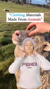 The animal fibers used most commonly both in the manufacturing world as well as by the hand spinners are wool from domestic sheep and silk. Also very popular are alpaca fiber and mohair from Angora goats. Animals are exploited for clothing most often for leather and feathers from: @kahaniwalishivani Join our courses 😍and become professional in fashion industry 😍 Want to learn offline or online fashion designing course? ||DM us for more details|| ….. ………. We customise outfits according to budge