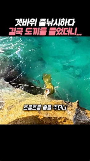 The green moray eel I thought was dead came back to life...