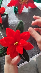 9K views · 121 reactions | Nochebuena de limpiapipas #fblifestyle #tutorial #navidad | Luz Velazquez | Facebook