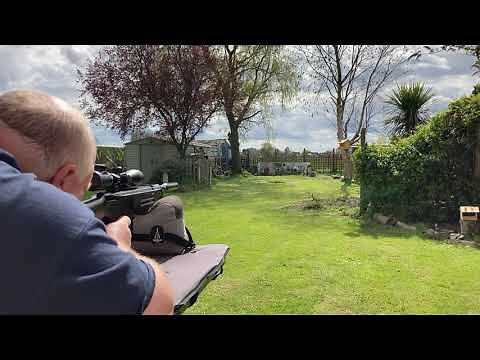 Sussex Armoury AR7 Jackal .22