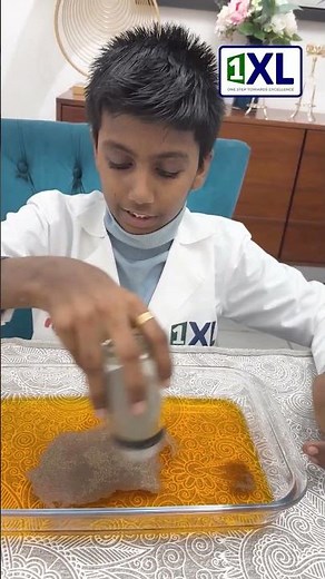 The Magic of Soap and Pepper | DIY Surface Tension Experiment 💧✨