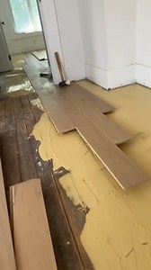 A typical day at work hard | Adam Fans