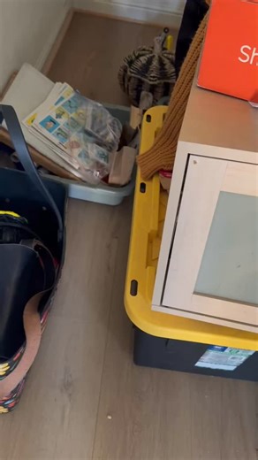 16 reactions | The day after my “Drink like a Tio” brunch with my girls, (yes, that’s what my invitation said 路‍♀️) I come accross THIS. I screamed so loud!   My grandson had brought his toy 秊 dinosaur and accidentally left it behind in my junk closet.  | Norma Lopez de Takahashi | Facebook