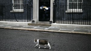Larry the cat chases off fox as intruder enters Downing Street