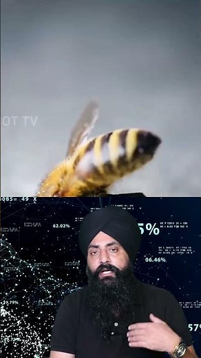 Why Bees Die After They Sting You #Bees #BeeSting #Honeybees #InsectBiology #Nature #Wildlife #facts