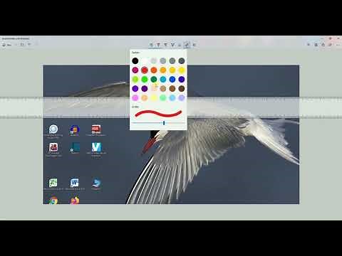 Ausschneiden und Skizzieren - Einführung