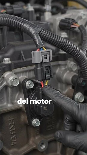 crankshaft position sensor location #sensor #ckp #car #mechanic #automobile