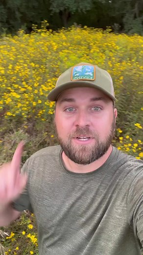 15K views · 1K reactions | First step is admitting we have a problem… and it’s a big problem. Let’s be mindful of what we’re handing over to our kids. #nativehabitatproject #conservation #grasslands #plantnative #wildflowers #nativeplants #prairies #biodiversity #lawn | Native Habitat Project | Facebook