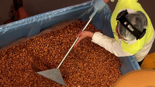 SA workplace deaths hit appalling record number as families grieve