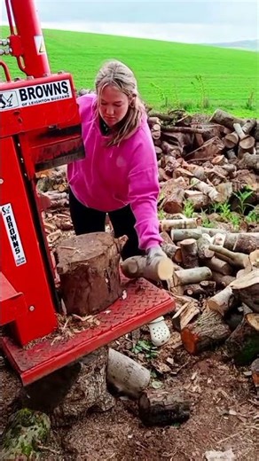 Log Splitter #firewood 21