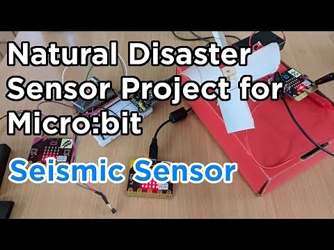 Micro:bit - Natural Disaster Project - DIY Seismic Sensor