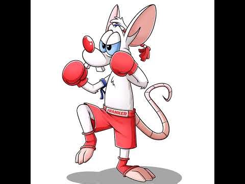 Livestream von frank schneider