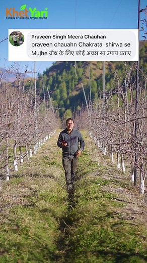 6.3K views · 181 reactions | Farmer question.. Pruning Mahakumbh 2 link. https://fb.me/e/3601e01bZ #soil #rohru #pahadse #reelsfb #redapple #organic #fresh #redapple #applefruit #bestapple #organicfarming #himachal #Kashmir #pahadi #himalayas #naturalfarming #kashmiriapple | Jittu Chauhan Orchardist | Facebook