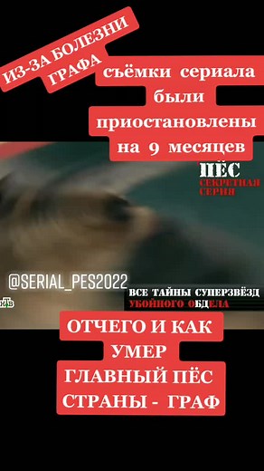 Гнездилов о сериале Пёс: Судьбы персонажей и актеров