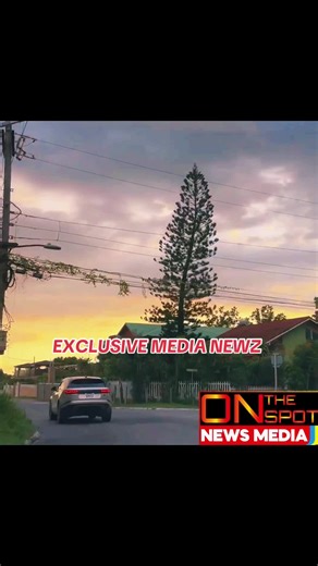 Jamaica Crime Updates: Fatal Shootings and Gang Activity