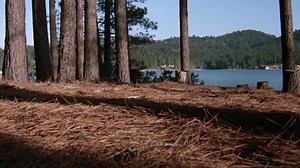 The.Hand.1981.720p.BluRay.x264.AAC-[YTS.MX]