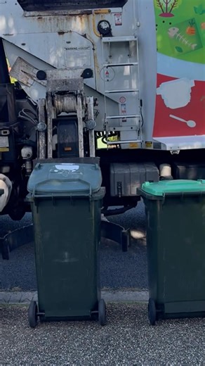 3057 With A Screeching Pendulum #loud #garbagecollection #sideloader