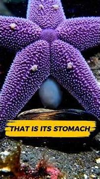 Did it just THROW UP its stomach?! 🤮⭐ #ChildhoodRuined