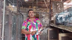 86K views · 308 shares | Teddy banane ka tareeka 藍 Ustad Ashish Gupta | Pakistani Pigeon Worldwide Association | Facebook