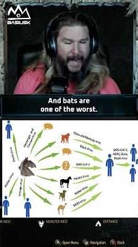 Why are bats like this?